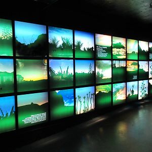 Nocturnal House Graphics