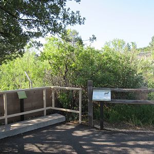 Mexican Grey Wolf Exhibit - Viewing Area