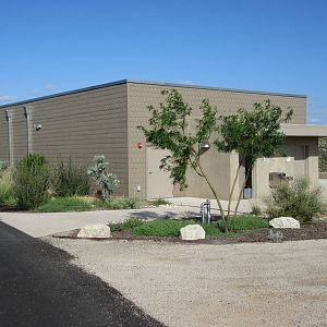 Reptile House (New in 2014) - see the scales?
