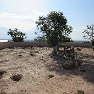Black-Tailed Prairie Dog Exhibit
