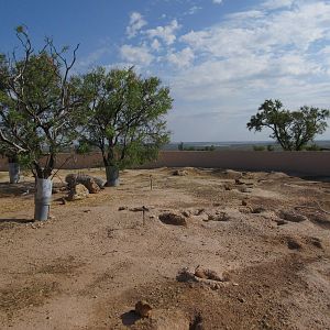 Black-Tailed Prairie Dog Exhibit