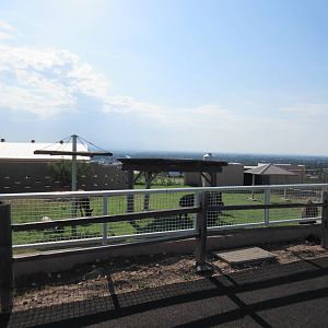 American Bison/Rocky Mountain Elk Exhibit