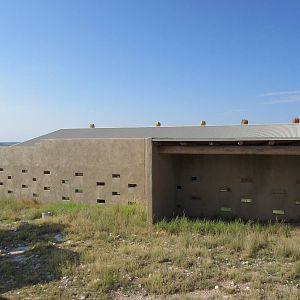 Pronghorn Exhibit - Shelter
