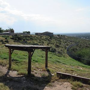 Rocky Mountain Elk Exhibit #2