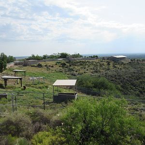 Rocky Mountain Elk Exhibits (three habitats)