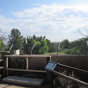 Mexican Grey Wolf Exhibit - Visitor Area