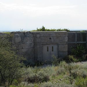 Cougar + Bobcat Exhibits (back view)
