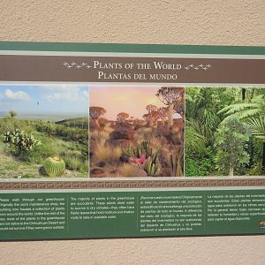 Plants of the World Sign