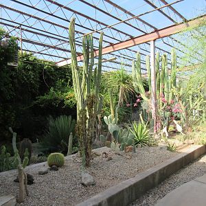 Succulents of the World Building