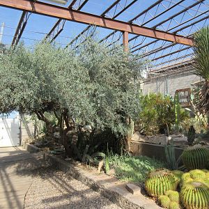 Succulents of the World Building