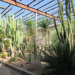 Succulents of the World Building