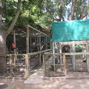 Bird of Prey Exhibits