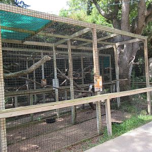 Red-Tailed Hawk Exhibit
