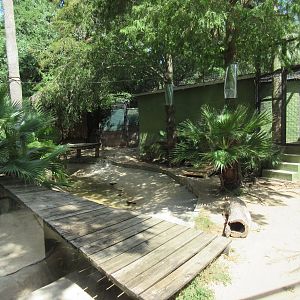 Bengal Tiger Exhibit - view through glass