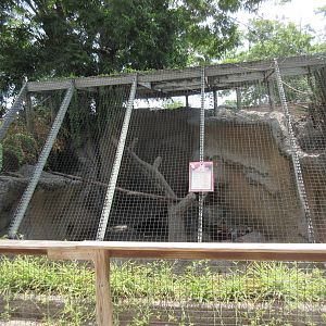 Bobcat Exhibit