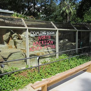North American River Otter Exhibit - coming soon
