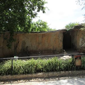 American Badger Exhibit