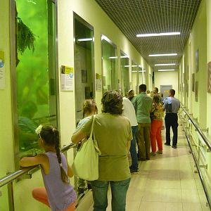 New design of the visitor zone in reptile house