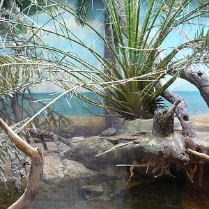 Mixed avian and red-eared slider exhibit