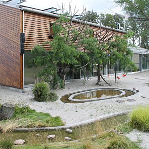 South American Aviary