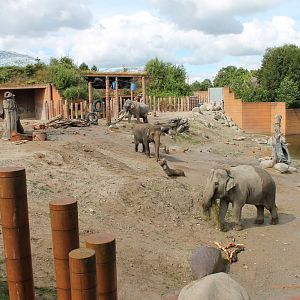 Elephant Enclosure