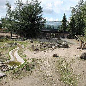 Musk Ox Enclosure