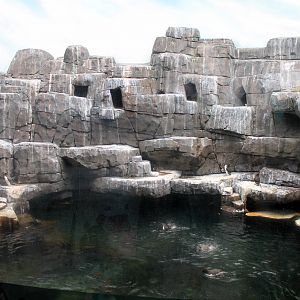 Seabird enclosure