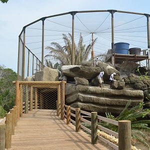 Tropical aviary (nearly finished)