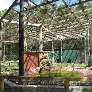 African Lion Exhibit