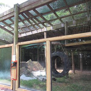 Jaguar Exhibit