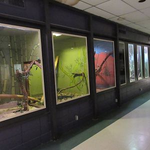 Half of the Reptile House