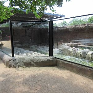 Asian Small-Clawed Otter Exhibit