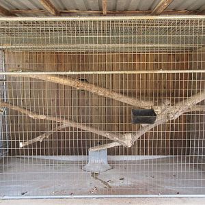 Ring-Tailed Lemur Outdoor Exhibit (the lemurs can also be seen inside the b