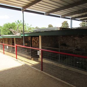 Row of Small Animal Exhibits