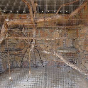 Squirrel Monkey Exhibit