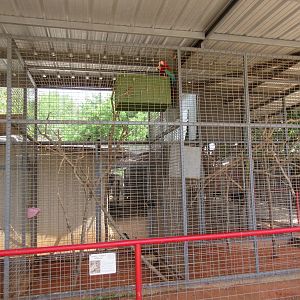 Assorted Bird Aviaries