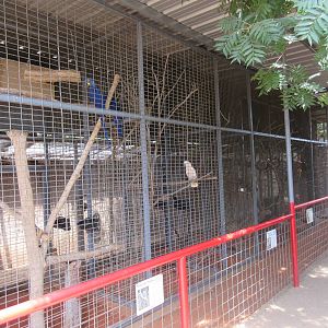 Assorted Small Animal Exhibits