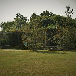 Pied tamarin breeding complex