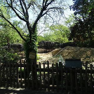 Aug. 2015 - Rhino Reserve - Future Male Black Rhino Exhibit