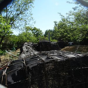 Aug. 2015 - Rhino Reserve - Future Male Black Rhino Exhibit