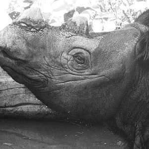 Aug. 2015 - Wildlife Canyon - Harapan