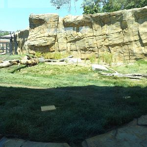 Arctic Passage- Polar Bear Exhibit