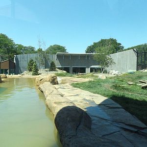 Arctic Passage- Polar Bear Exhibit