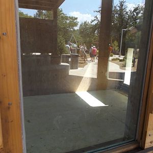 Arctic Passage- Grizzly Den