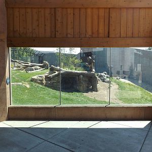 Arctic Passage- Grizzly Bear Viewing Window