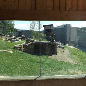 Arctic Passage- Grizzly Bear Exhibit