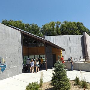 Arctic Passage- Grizzly Bear Exhibit and Seal Exhibit