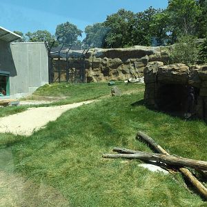 Arctic Passage- Grizzly Bear Exhibit