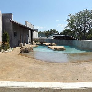Arctic Passage- Harbor Seal Exhibit