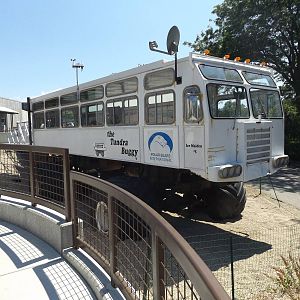 Arctic Passage- The Tundra Buggy